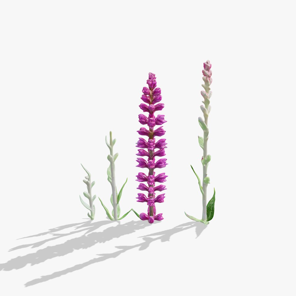 Vibrant Pink Flower Model Pack for D Environments and Games